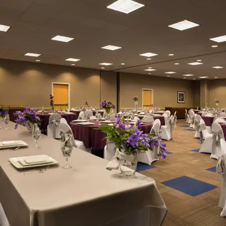Comfort Inn & Suites Presidential