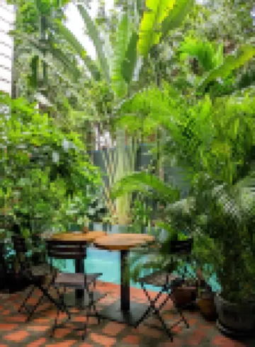 YK Art House & Bong Bonlai Vegan
