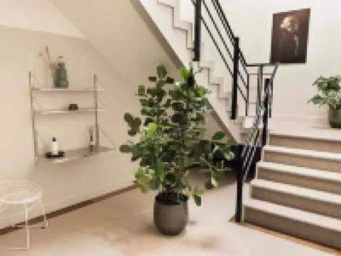 Boutique Hotel Weesp Hotels in Weesp