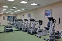 Holiday Inn & Suites Windsor (Ambassador Bridge) by IHG - Gym