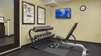 Holiday Inn Express & Suites NAPLES DOWNTOWN - 5TH AVENUE by IHG - Gym