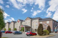 Best Western Plus Fredericton Hotel  Suites - Pet friendly
