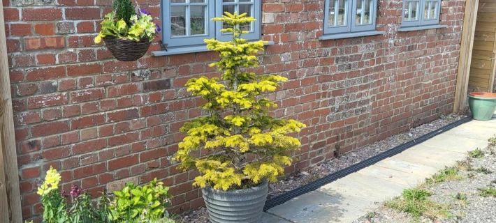 Cottage Sleeps 5 with Hot Tub and Parking Ξενοδοχεία στην πόλη East Devon District