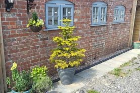 3 Bedroom Cottage - Sleeps 5 - Hot Tub Parking