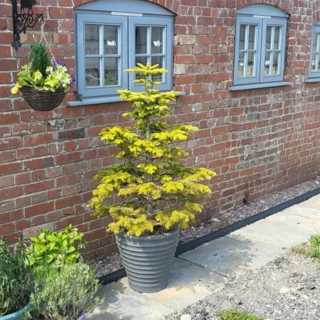 Cottage Sleeps 5 with Hot Tub and Parking