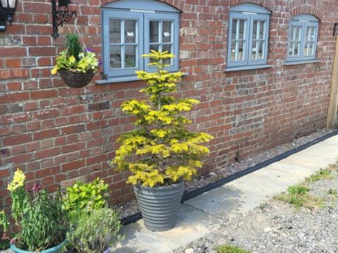 3 Bedroom Cottage - Sleeps 5 - Hot Tub Parking