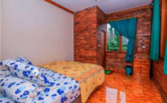 The Anty Resort