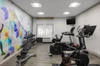 Hyatt Place Atlanta Cobb Galleria - Gym