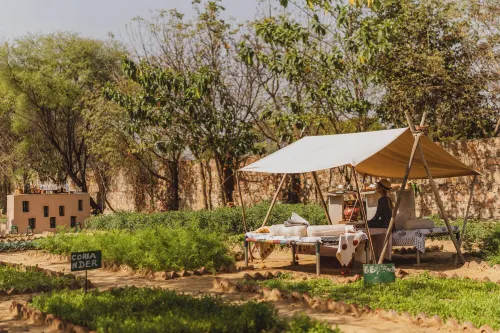 Brij Bageecha Jaipur - Private Villas with Heated Plunge Pool