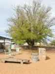 Ocotillo House: Centrally Located 3Bed/3Bath Home