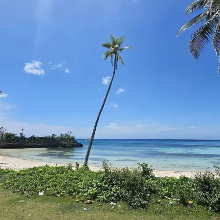 Batsonbhouse Camotes