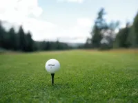 Gammelgården Hotele w: Malung