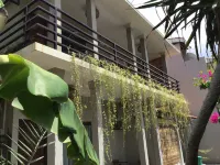 Casa Narrow Villa