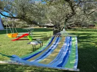 Bright accommodation near the sea in Zambratija - Apartments