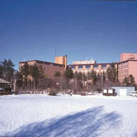 Hotel Daiheigen