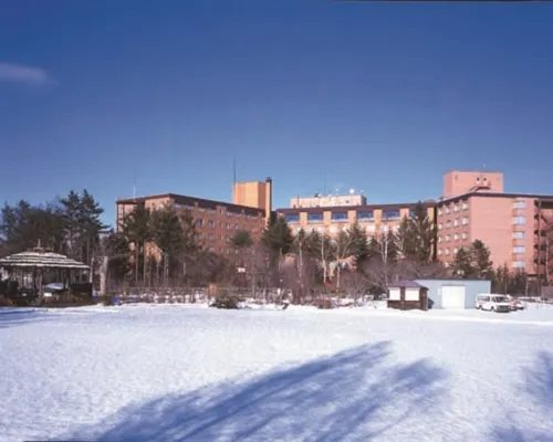 Hotel Daiheigen Hotels in Otofuke