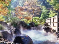 HOTEL MYSTAYS Atsugi - Hot Tub