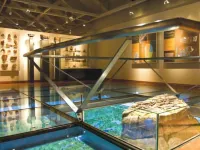 Hungry Lion Sigiriya Hotels near Pidurangala Temple