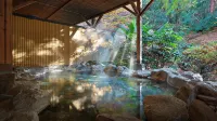 Tsukubasan Onsen Edoya - Hot Springs