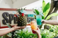 Sheraton Princess Kaiulani Waikiki Beach - bar