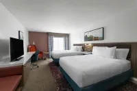 Hilton Garden Inn Tallahassee - bar