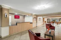 雅典埃託瓦紅頂飯店 - 寵物友善