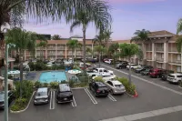 Cortona Inn and Suites Anaheim Resort - parcheggio