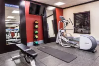 Hampton Inn & Suites Big Spring - Phòng Gym
