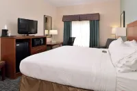 Holiday Inn Express & Suites ST MARYS by IHG - Wifi