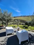 Quinta dos Piscos - Frühstück