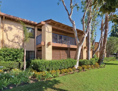 Club Wyndham Dolphin's Cove