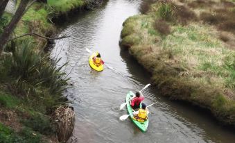 Whitianga Campground