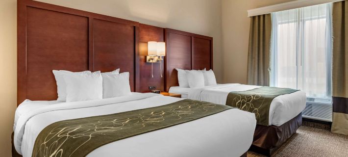 Comfort Suites Kyle Hotels in Hays County