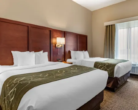 Comfort Suites Kyle Hoteles en Kyle