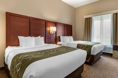 Comfort Suites Kyle Hotels in Kyle
