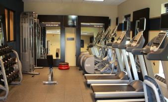 a well - equipped gym with various exercise equipment , including treadmills and weight machines , arranged in rows at Hampton Inn & Suites by Hilton Stroudsburg Pocono Mountains