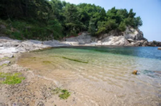 Samcheok Donghae Raeyo Pension