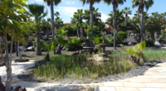 Oasis Royal 2 Dormitorios 3 Piscinas+Fibra Óptica