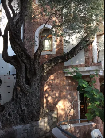 Room Balcony Seaside N 1