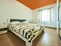 Anić
