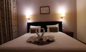 Beautiful Deluxe Double Room in the City Center - Wifi and AC