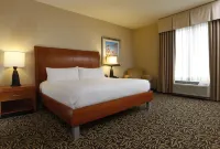 Hilton Garden Inn Cedar Falls - Pools