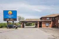 Comfort Inn Отели рядом с достопримечательностью «TreeHouse ClubHouse»