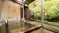 Seizanso Hotels in Nishiwaga