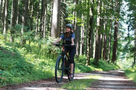 Hotel Celjska Koca Отели в г. Municipality of Lasko