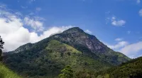 Deer Point Hotel Kandy Hotels in Sirimalwatta