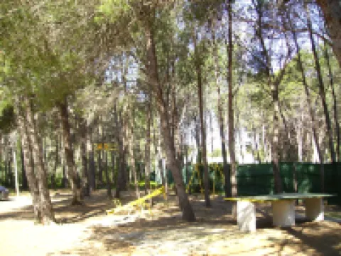 Rentalmar El Pinar Adosados