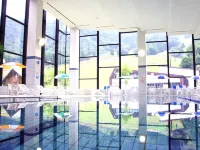 Madarao Tokyu Resort Hotel Tangram - Yüzme Havuzu