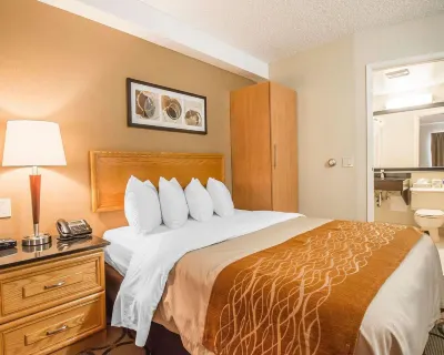 Comfort Inn Hotels in Luceville