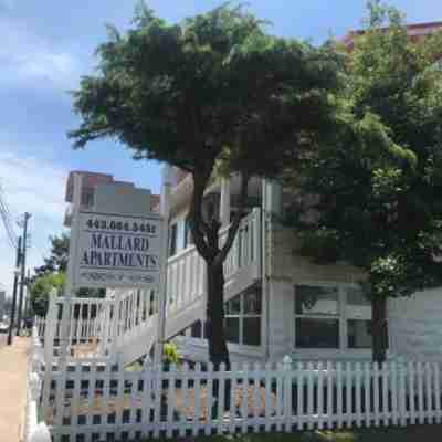 Mallard Apartments Hotel Exterior